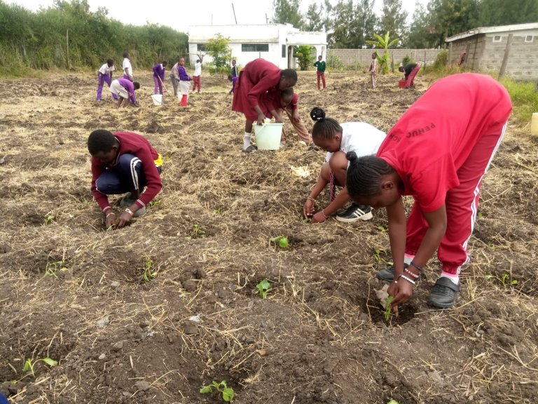 Cultivating Hope: Pehucci Children Growing Their Own Future
